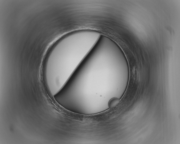X0000110890388200906181011