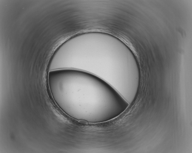 X0000110890389200906181011