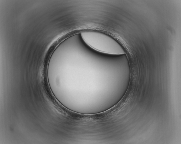 X0000110890392200906181011