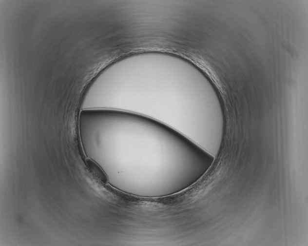X0000110890393200906181010