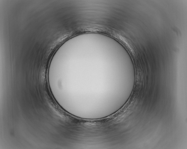 X0000110890394200906181010