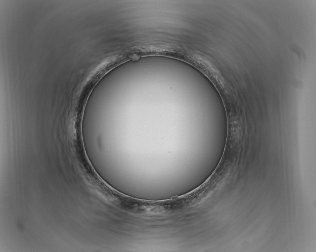 X0000110890395200906181010