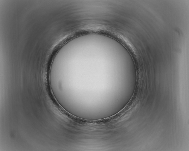 X0000110890399200906181010