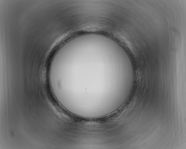 X0000110890400200906181010