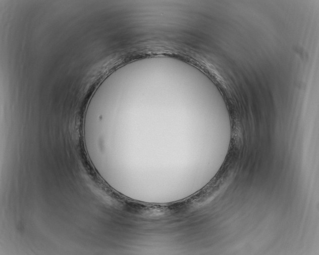 X0000110890402200906181010