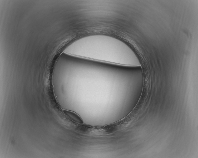 X0000110890403200906181010