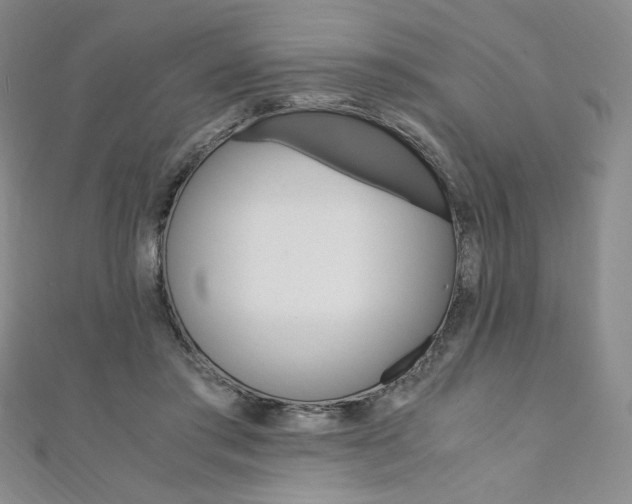 X0000110890405200906181010