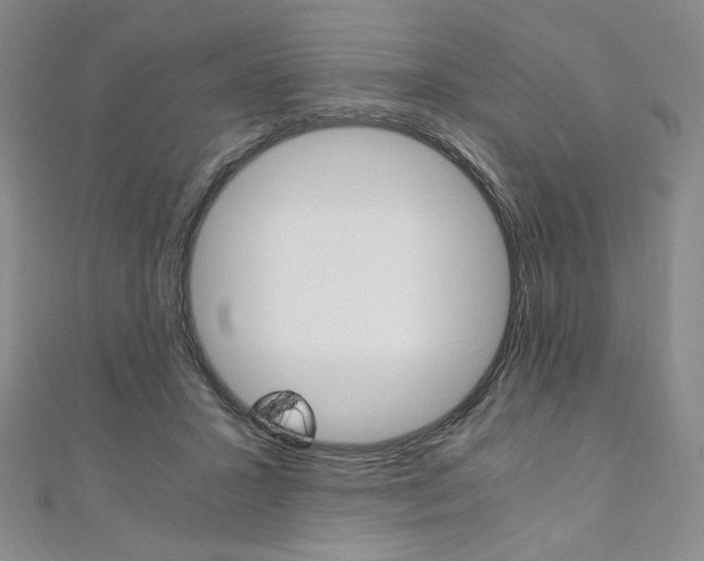 X0000110890407200906181010