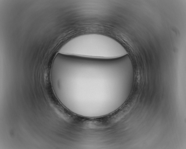 X0000110890408200906181010