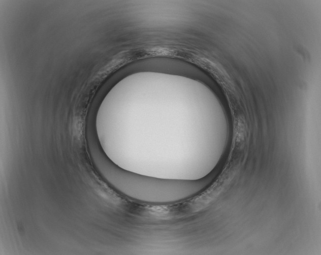 X0000110890409200906181010