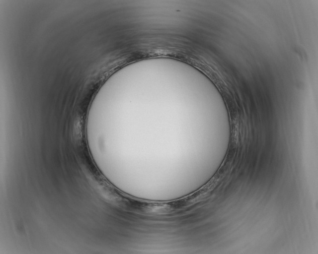 X0000110890410200906181010