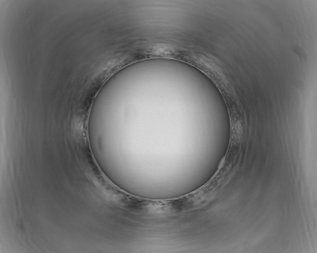 X0000110890415200906181010