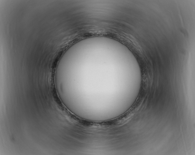 X0000110890416200906181010