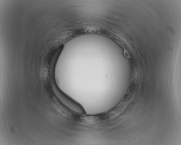 X0000110890417200906181010