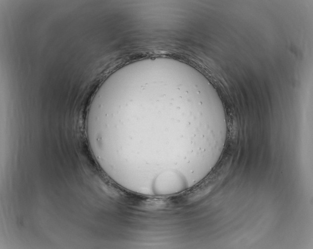 X0000110890418200906181010