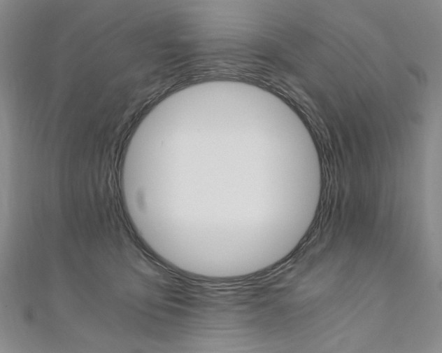 X0000110890419200906181010