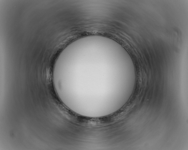 X0000110890420200906181010