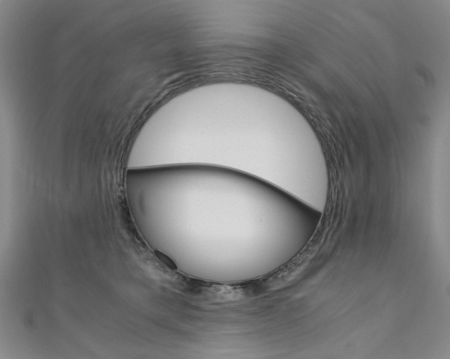 X0000110890421200906181010