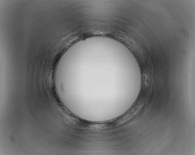X0000110890422200906181010