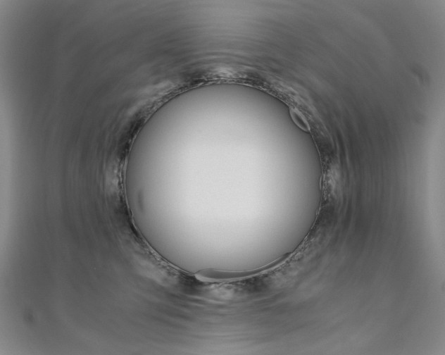 X0000110890423200906181010