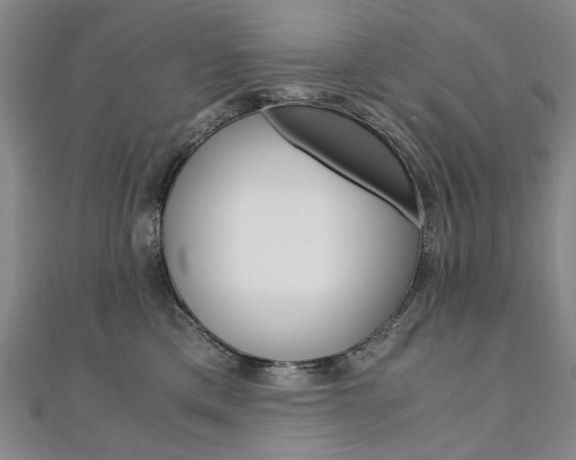 X0000110890425200906181010