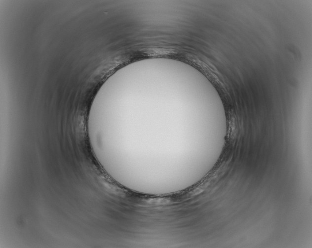 X0000110890426200906181010