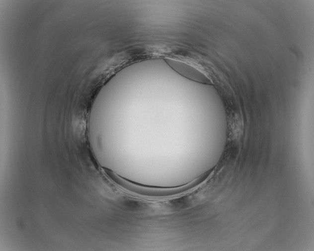 X0000110890427200906181010