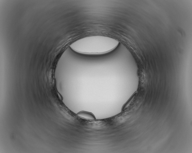 X0000110890428200906181010