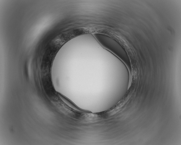 X0000110890429200906181010