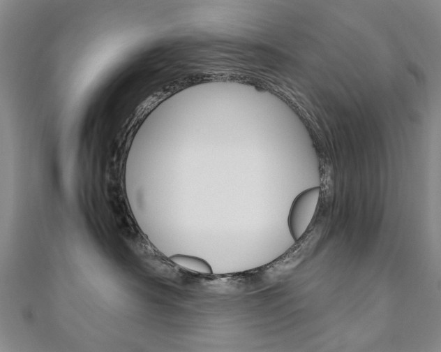 X0000110890430200906181010