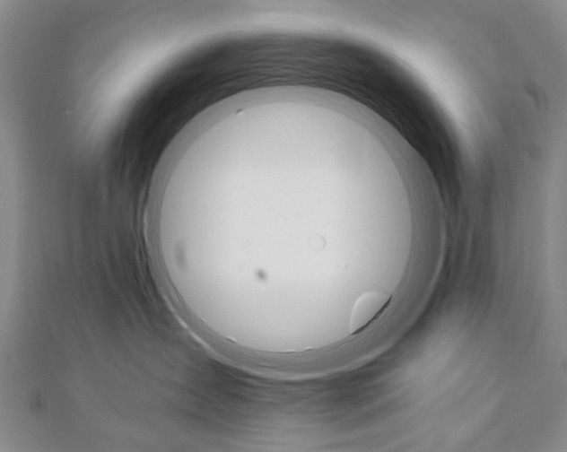 X0000110890431200906181010