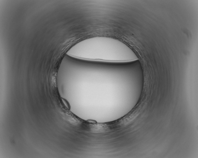 X0000110890432200906181010