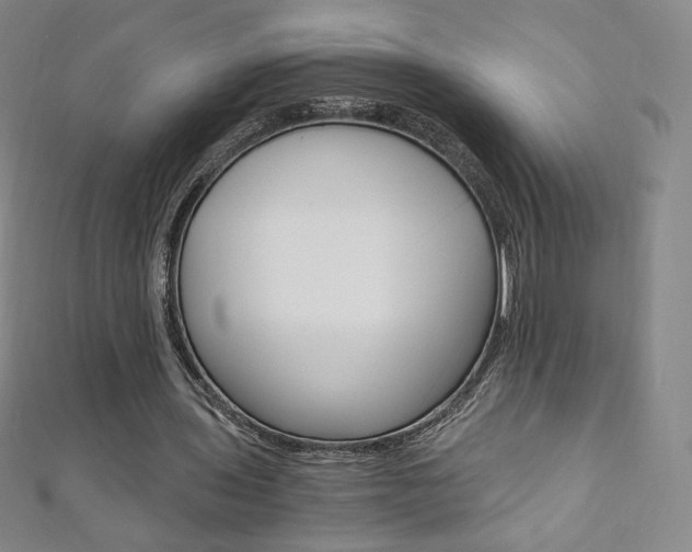 X0000110890435200906181009