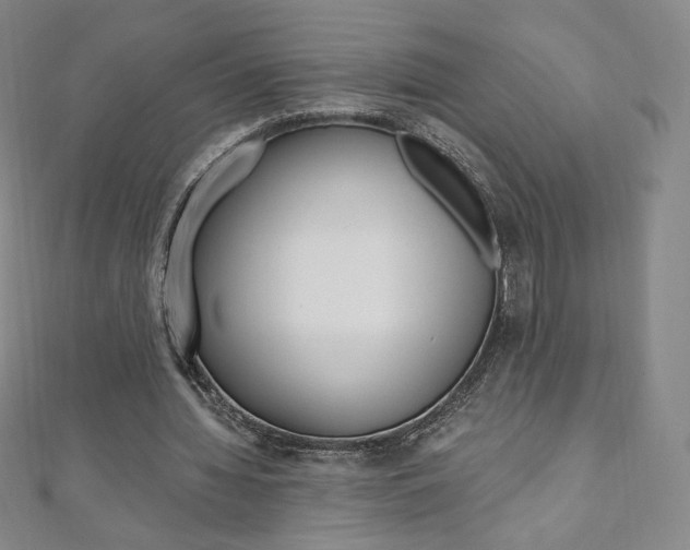 X0000110890436200906181009