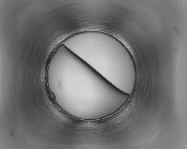 X0000110890437200906181009