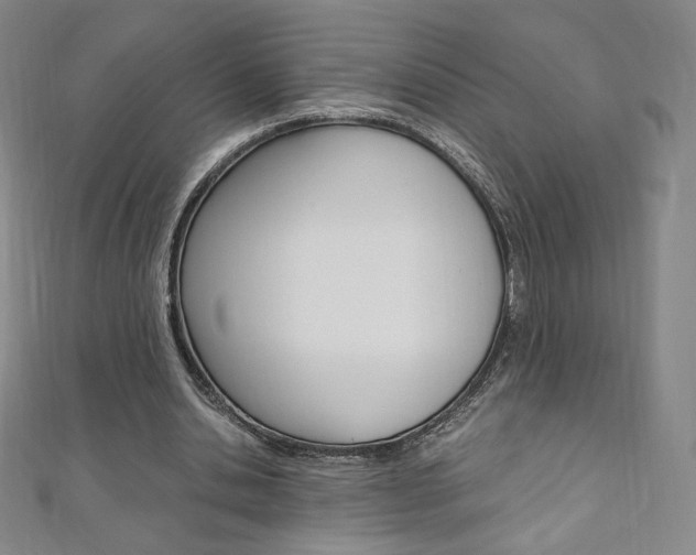 X0000110890438200906181009