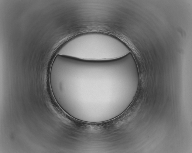 X0000110890442200906181009