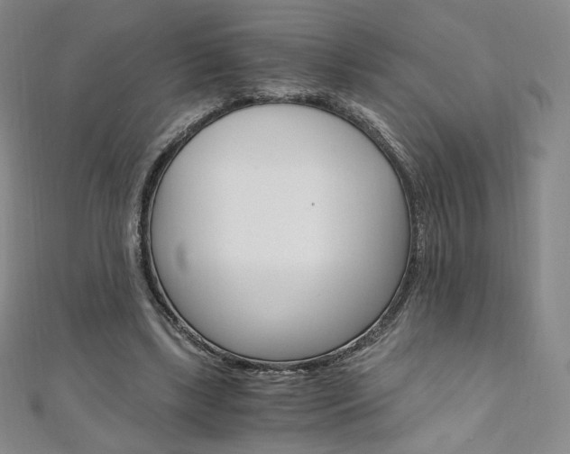 X0000110890443200906181009
