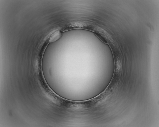 X0000110890444200906181009