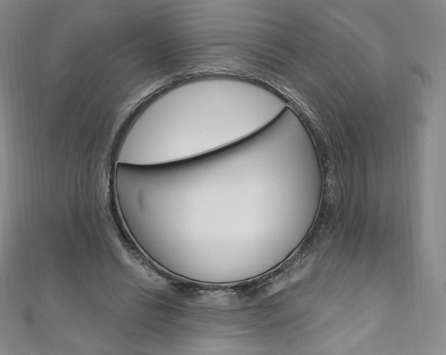 X0000110890446200906181009