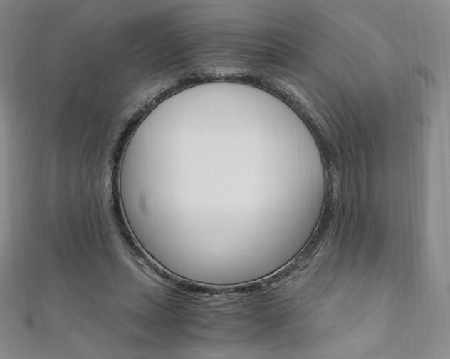 X0000110890447200906181009