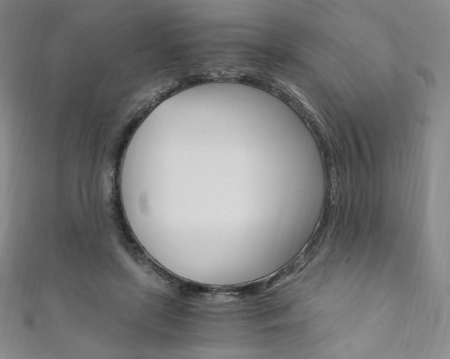 X0000110890451200906181009