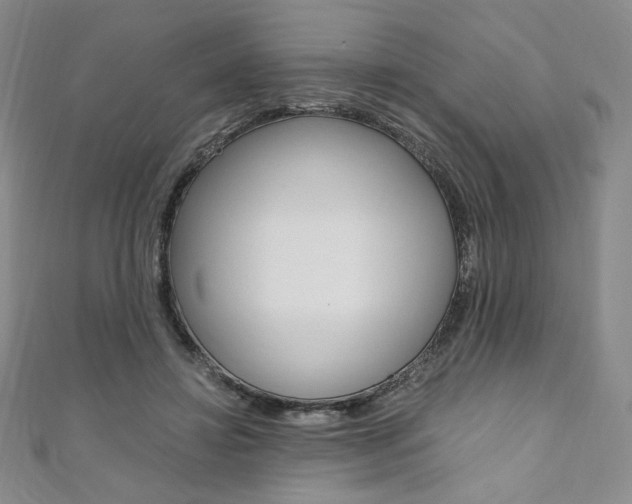 X0000110890452200906181009
