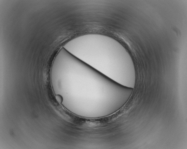 X0000110890455200906181009