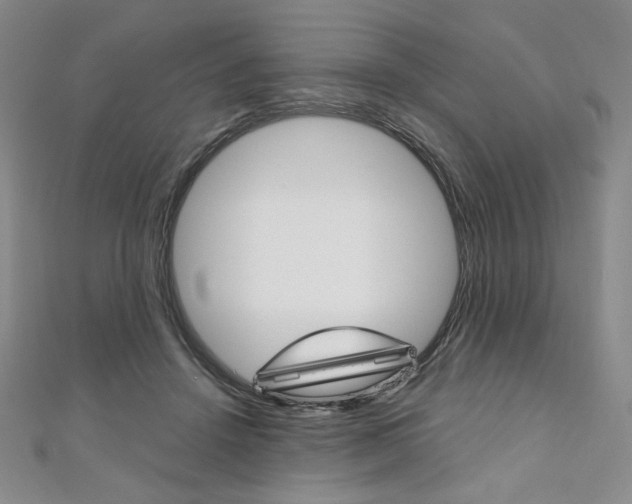 X0000110890456200906181009