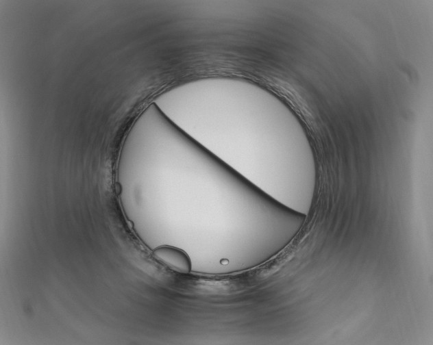 X0000110890457200906181009