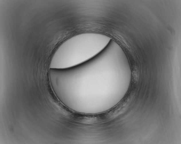 X0000110890458200906181009