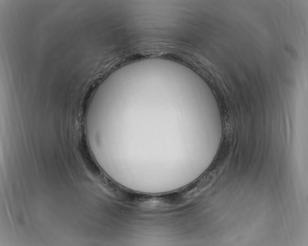 X0000110890460200906181009