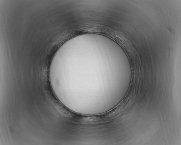 X0000110890461200906181009