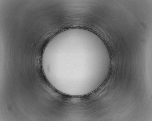 X0000110890462200906181009